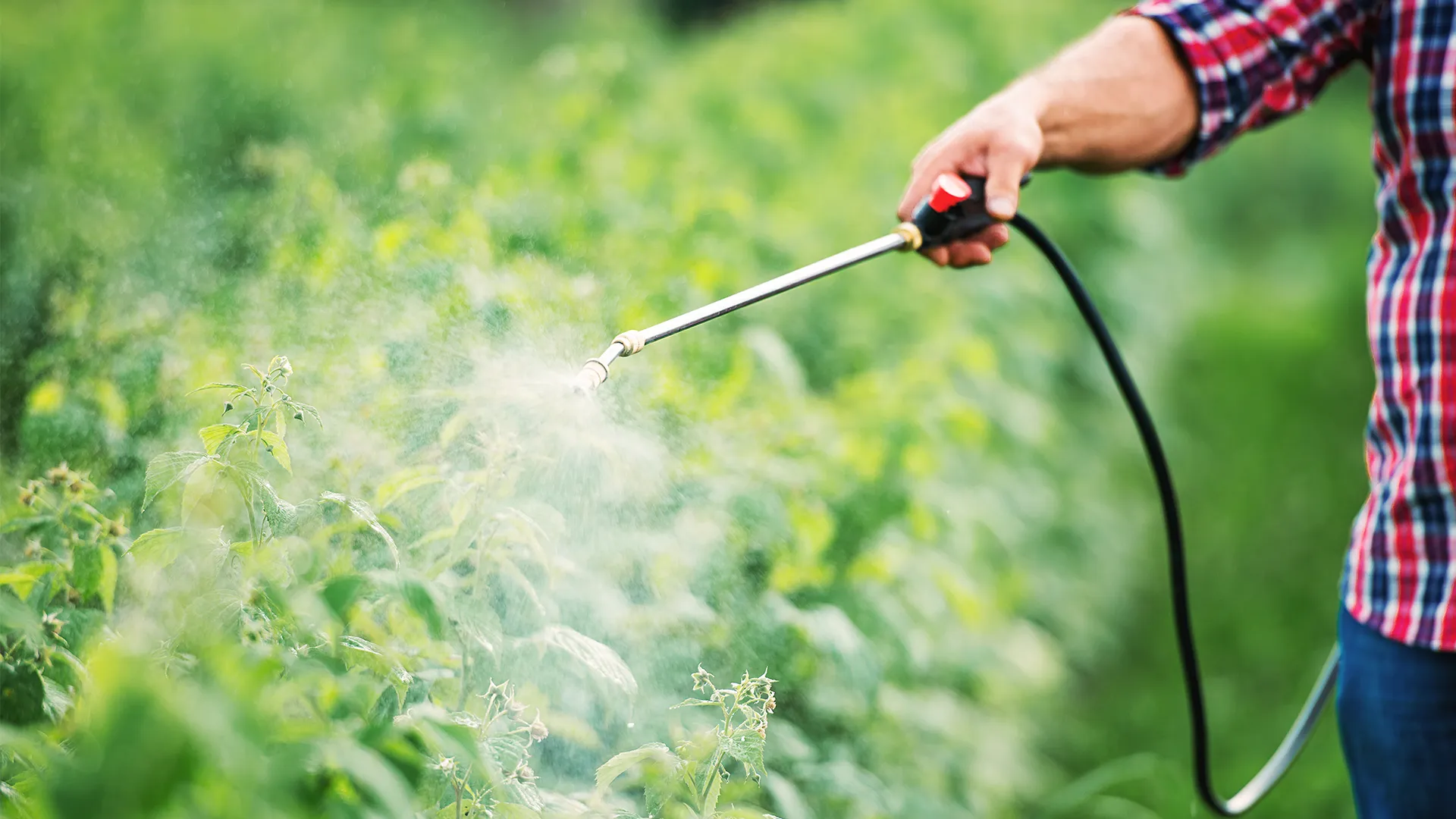 Pesticide Training